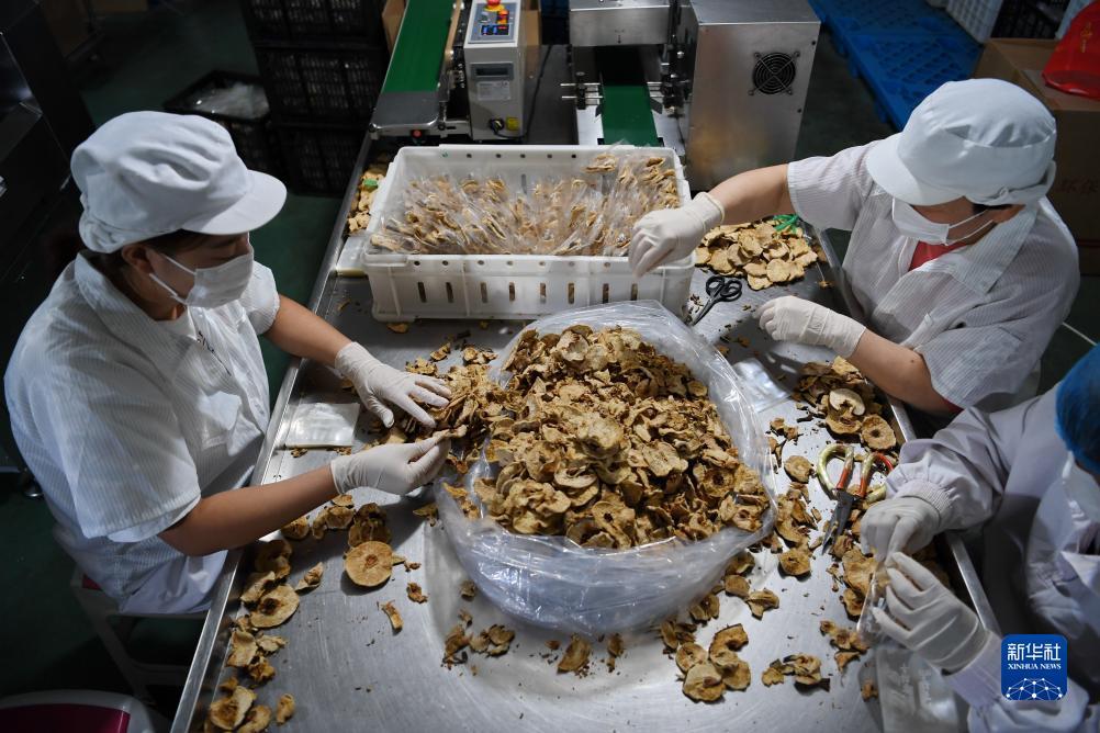 波克捕鱼水浒传哪去了